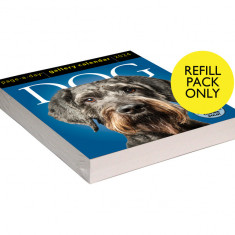 Dog Page-A-Day(r) Gallery Calendar Refill Pack 2024