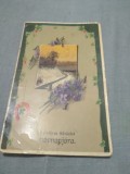 Cumpara ieftin CARTE POSTAL FELICITARE CIRCULATA LA LUGOJ 1911