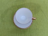 Frumoasa ceasca de cafea, decor floral