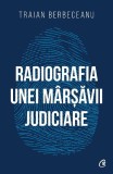 Radiografia unei marsavii judiciare - Traian Berbeceanu - Curtea Veche