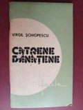 Catrene banatene- Virgil Schiopescu