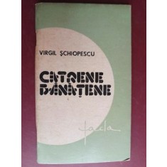 Catrene banatene- Virgil Schiopescu