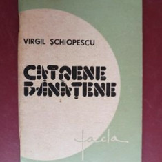 Catrene banatene- Virgil Schiopescu