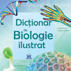 Dicționar de biologie ilustrat - Paperback brosat - Corinne Stockley - Didactica Publishing House
