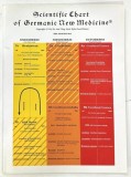 SCIENTIFIC CHART OF GERMANIC MEDICINE by RYKE GEERD HAMER , 2007 * BOGAT ILUSTRATA