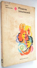 Floarea intunecata - John Galsworthy