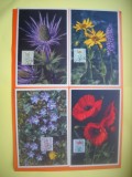 HOPCT MAXIMA NR 1057 SET 4 MAXIME - FLORA SPONTANA -1950 BELGIA -FLORA EUROPA
