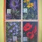 HOPCT MAXIMA NR 1057 SET 4 MAXIME - FLORA SPONTANA -1950 BELGIA -FLORA EUROPA