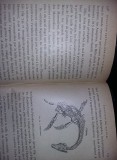 Carte veche zoologie/animale 1888,LE TRANSFORMISME,Edmond Perrier,T.gratuit