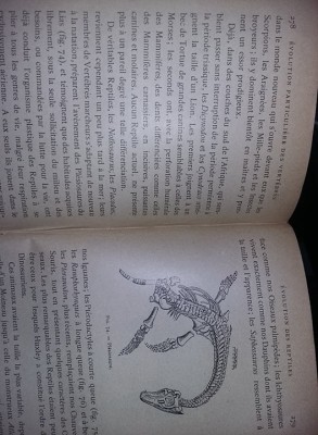 Carte veche zoologie/animale 1888,LE TRANSFORMISME,Edmond Perrier,T.gratuit foto
