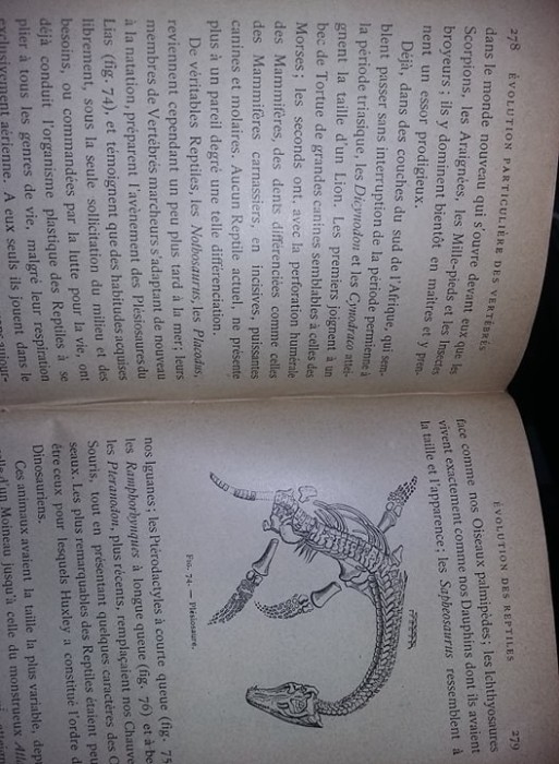 Carte veche zoologie/animale 1888,LE TRANSFORMISME,Edmond Perrier,T.gratuit
