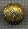 Y 2074 NASTURE MIC METALIC -MILITAR -PERIOADA RSR -PENTRU COLECTIONARI