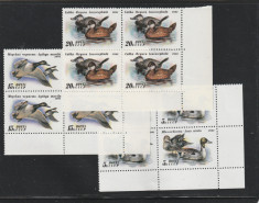U.R.S.S. 1991-Fauna,Pasari,Rate,,serie 3 val.,dant.,in blocuri.MNH,Mi.6210-6212 foto