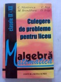 Culegere de probleme pentru liceu clasele 9-12 2002