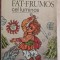 Petru Rezus - Fat-Frumos cel luminos