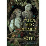 Ahol megdermed a s&ouml;t&eacute;t - (K&uuml;l&ouml;nleges kiad&aacute;s) - A. B. Poranek