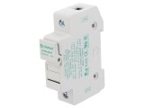 Clemă Siguranțe Cilindrice 10x38mm pentru Șină DIN 30A 1kV
