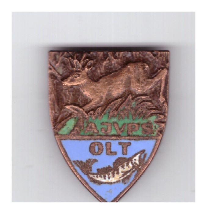 Insigna AJVPS Olt