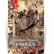 Pasajul, Vol. 2 - Dumitru Popescu