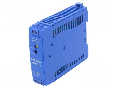 Alimentator Pulsatoriu pentru Șină DIN 30W 24V 1.25A foto