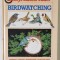 BIRDWATCHING , BULLSEYE SUCCESS GUIDE by STEVE MADGE and CATHERINE DELL , 1983