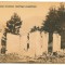 5360 - VISEUL de SUS, Maramures, destroyed house - old postcard - unused