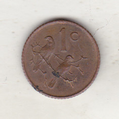 bnk mnd Africa de Sud 1 cent 1971 , pasari