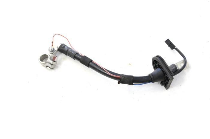 Borna cablu baterie VW TOUAREG 7P5 2017 OEM: 7P0971225B 11370955