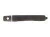 Maner usa NISSAN PATHFINDER III (R51) (2005 - 2012) BLIC 6010-16-038401P