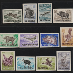 Romania 1956 - Fauna , Vanatoarea ,serie 12 valori , nedantelate , MNH