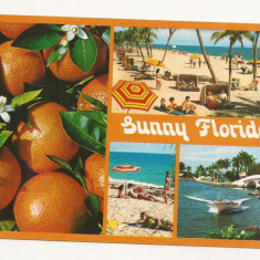 FA24-Carte Postala- SUA - Florida, circulata