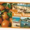 FA24-Carte Postala- SUA - Florida, circulata