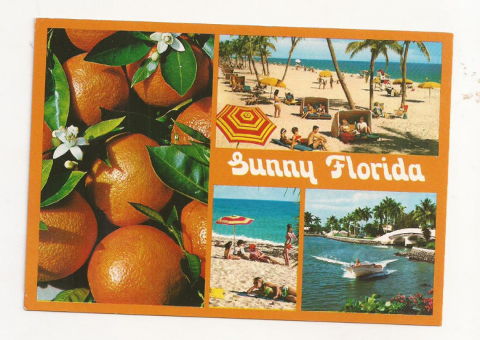 FA24-Carte Postala- SUA - Florida, circulata