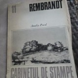 REMBRANDT - AMELIA PAVEL