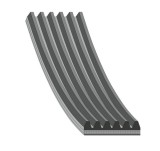 Febi Bilstein Curea transmisie cu caneluri