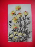 HOPCT 25169 FLORI- FELICITARE ANIVERSARA -CP ROMANIA - NECIRCULATA