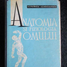 Anatomia si fiziologia omului- I. C. Petricu, I. C. Voiculescu