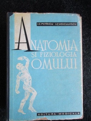 Anatomia si fiziologia omului- I. C. Petricu, I. C. Voiculescu foto