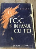 LITR1 Literatura Foc in Hanul cu Tei
