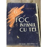 LITR1 Literatura Foc in Hanul cu Tei