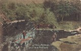 Carte postala circulata in anul 1915 Slanic Moldova