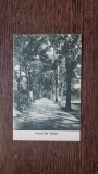 Carte Postala - Saliste. Parcul din Saliste