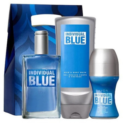 Punga Individual Blue (parfum 100,gel dus 2in1 250,roll-on 50) foto