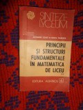 Principii si structuri fundamentale in matematica de liceu -Al. Leonte (vol.2)