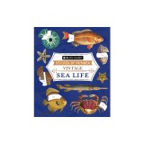 Brain Games - Sticker by Number - Vintage: Sea Life (28 Images to Sticker)