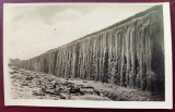 Constanta - Digul inghetat - iarna 1929 - tip fotografie, necirculata