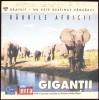 DVD: GIGANTII-267753
