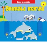 Cauta si gaseste! Animale marine