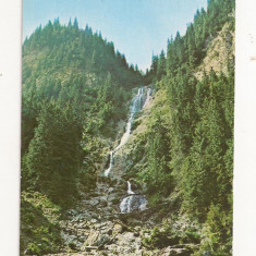RF22 -Carte Postala- Muntii Rodnei, Cascada Cailort, necirculata 1982