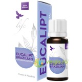 Ulei Esential de Eucalipt Brazilian pentru Uz Intern 10ml